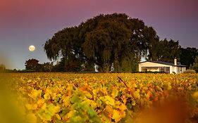 St Leonards Vineyard Cottages